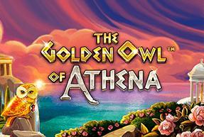 The Golden Owl of Athena