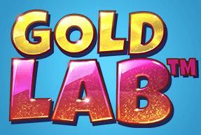 Gold Lab