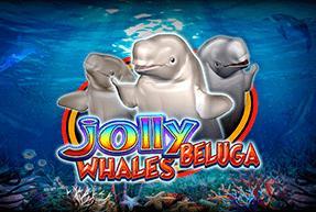 Jolly Beluga Whales