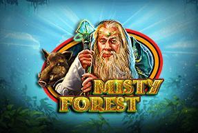 Misty Forest