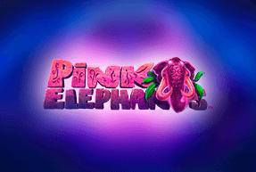 Pink Elephants