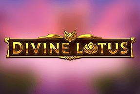 Divine Lotus Mobile