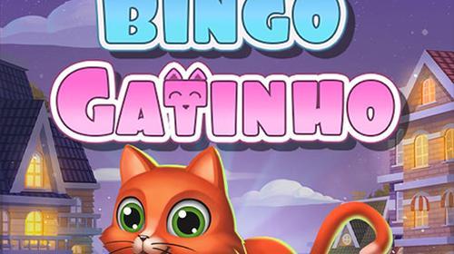 Bingo Gatinho