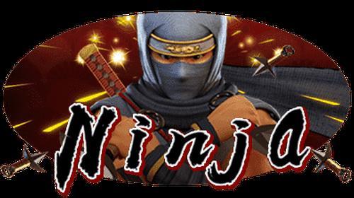 Ninja