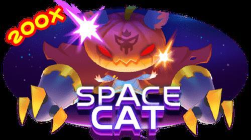 Space Cat