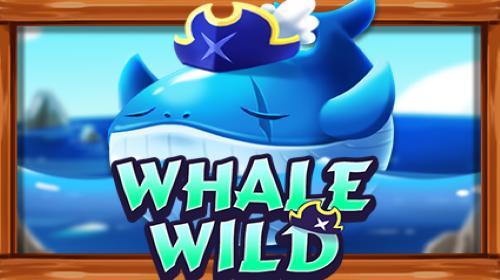 Whale Wild