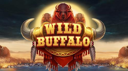 Wild Buffalo