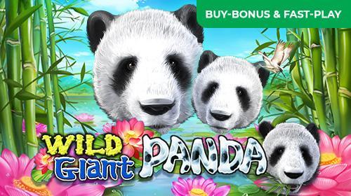 Wild Giant Panda