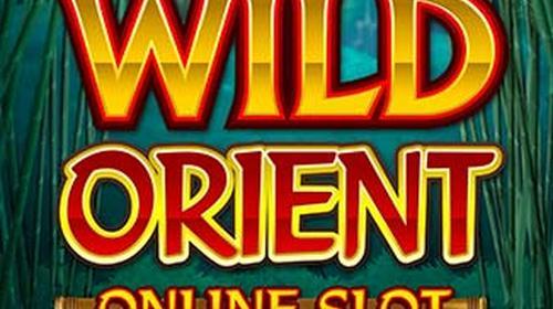 Wild Orient