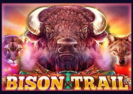 Bison Trail