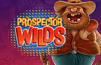 Prospector Wilds 94