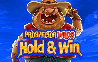 Prospector Wilds Hold and Win 94