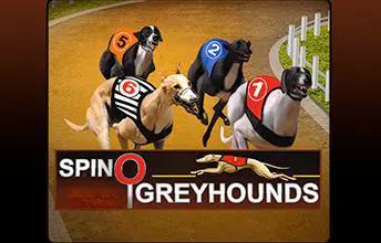 Spinosports:Greyhounds