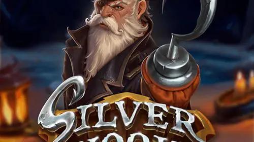 Silver Hook