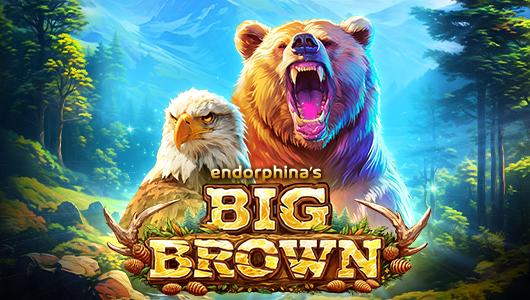 Big Brown