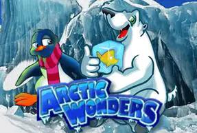 Arctic Wonders