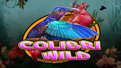 Colibri Wild