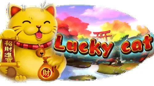 Lucky Cat