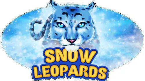 Snow Leopards