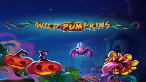 Wild Pumpkins