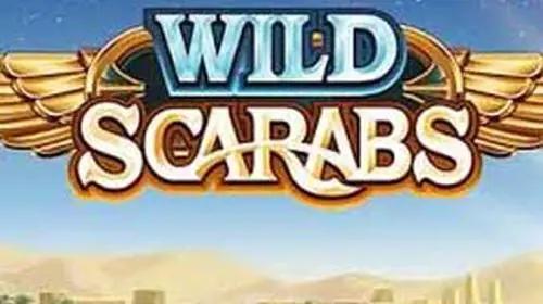 Wild Scarabs