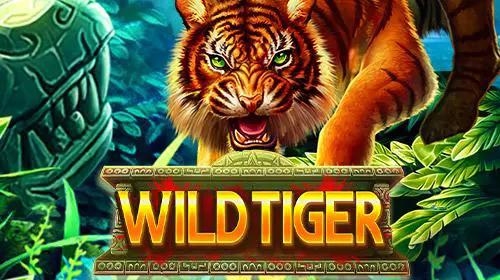 Wild Tiger