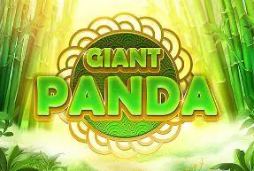 Giant Panda