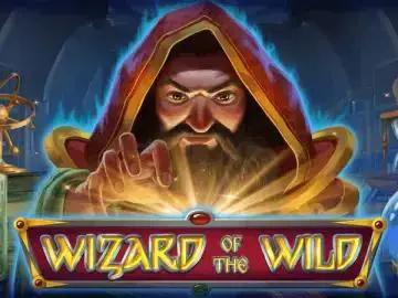 Wizard of the Wild